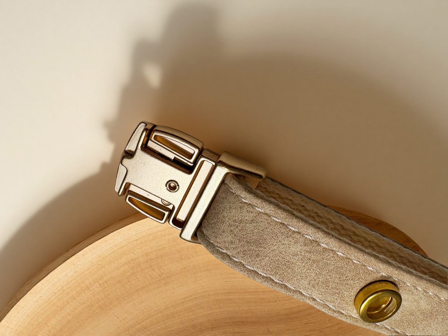 Magnetic Charm Pet Collar