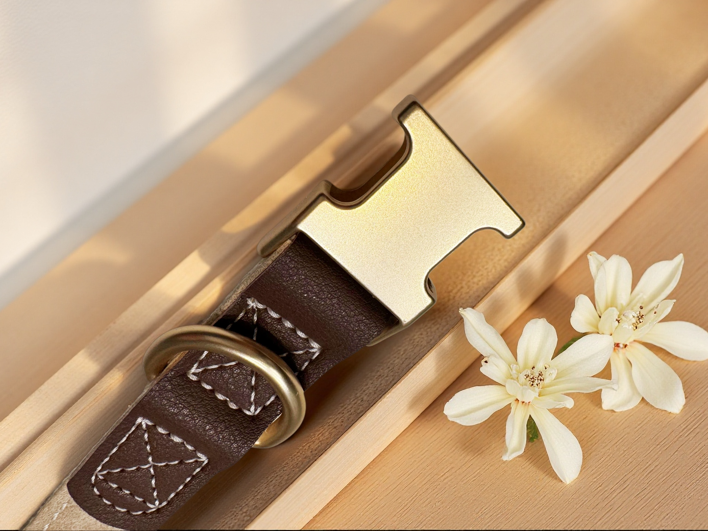 Magnetic Charm Pet Collar
