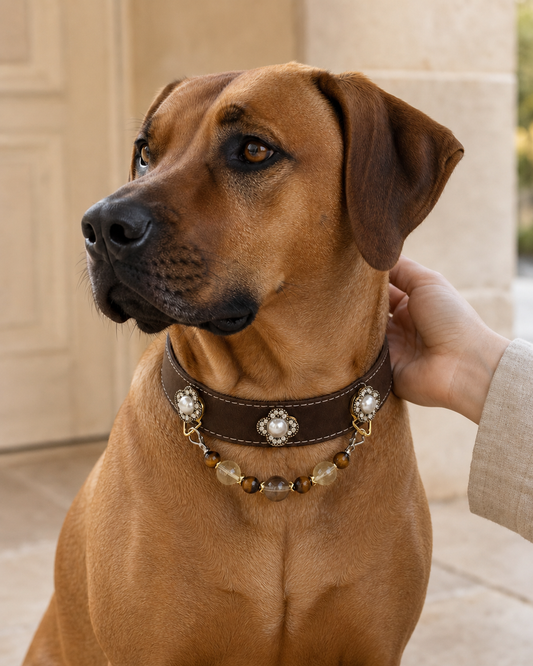 Pearl Clove Amber Glass Magnetic Snap-On Pet Collar